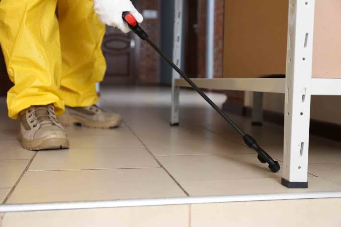5 Best Pest Control Companies in Detroit - Discover year-round protection from insects and rodents